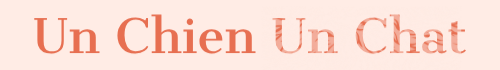 Logo pelage toilettage